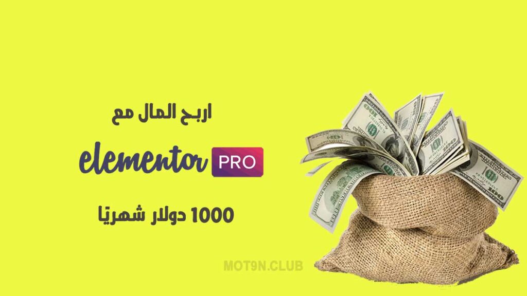 كيفية إنشاء موقع إلكتروني باستخدام Elementor Pro والبدء في مشروع جانبي مربح